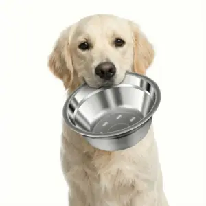 Металева миска для котів і собак